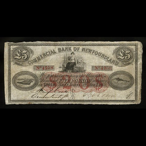 Canada, Commercial Bank of Newfoundland, 20 dollars : 1 janvier 1867