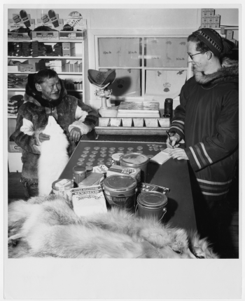 Photo en noir et blanc, pièce ressemblant à un magasin, deux hommes, un Autochtone tenant une fourrure devant un comptoir couvert d’objets ressemblant à des pièces de monnaie, homme blanc de l’autre côté du comptoir.